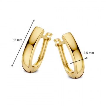 Oorringen geelgoud 26838 nl g
