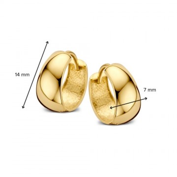 Oorringen geelgoud 26839 nl g