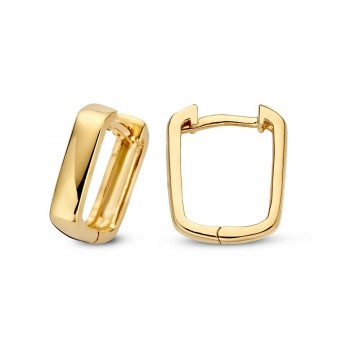 Oorringen geelgoud 27117 nl g