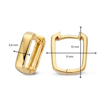 Oorringen geelgoud 27118 nl g