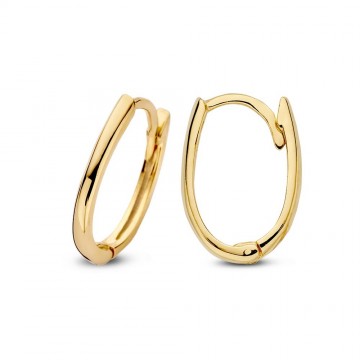 Oorringen geelgoud 27127 nl g