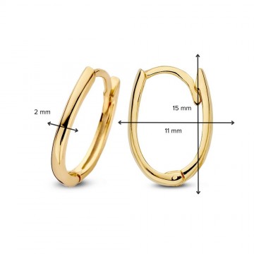 Oorringen geelgoud 27128 nl g