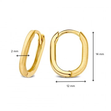 Oorringen geelgoud 27791 nl g