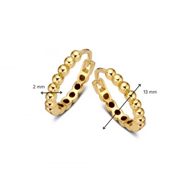 Oorringen geelgoud 27792 nl g