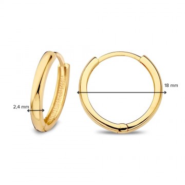 Oorringen geelgoud 27812 nl g