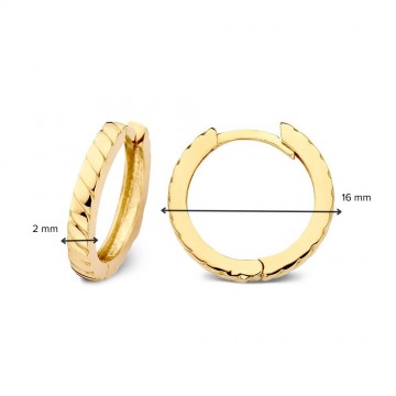 Oorringen geelgoud 27814 nl g