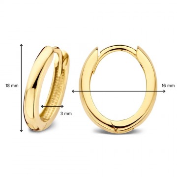 Oorringen geelgoud 27815 nl g