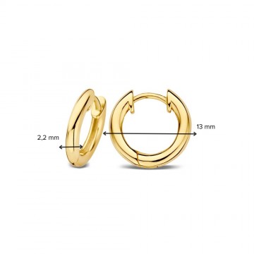 Oorringen geelgoud 27816 nl g