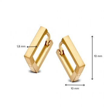 Oorringen geelgoud 27820 nl g