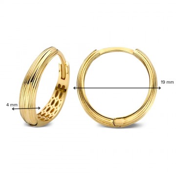 Oorringen geelgoud 27821 nl g