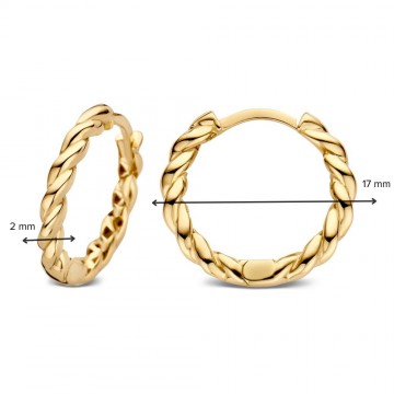 Oorringen geelgoud 27822 nl g
