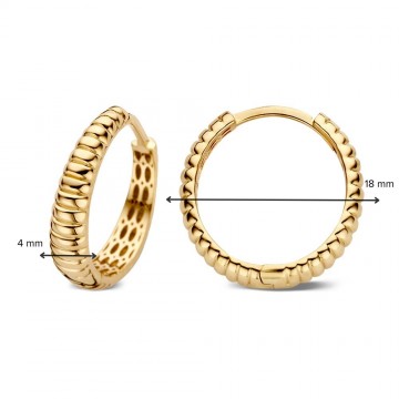 Oorringen geelgoud 27823 nl g