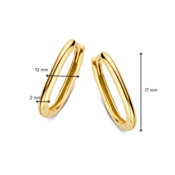 Oorringen geelgoud 27824 nl g