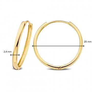 Oorringen geelgoud 27829 nl g