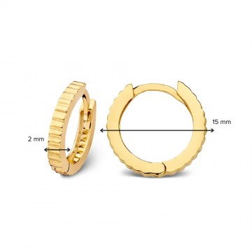 Oorringen geelgoud 27831 nl g