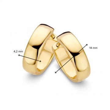 Oorringen geelgoud 27978 nl g