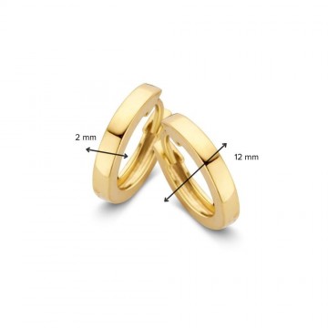 Oorringen geelgoud 27983 nl g