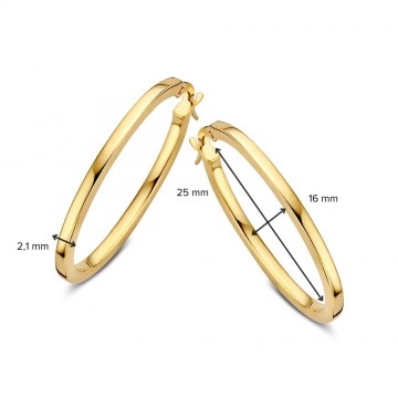 Oorringen geelgoud 31100 nl g