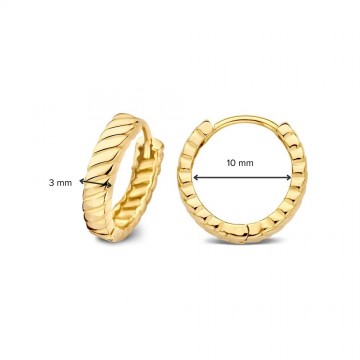 Oorringen geelgoud 31136 nl g