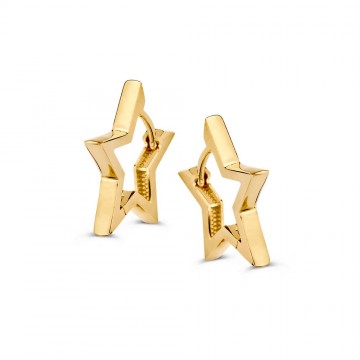 Oorringen geelgoud 31311 nl g