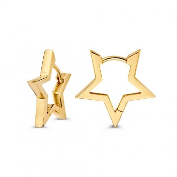 Oorringen geelgoud 31312 nl g