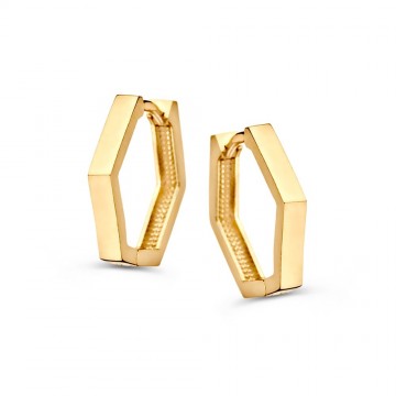 Oorringen geelgoud 31313 nl g