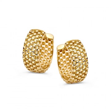 Oorringen geelgoud 31318 nl g