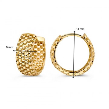 Oorringen geelgoud 31357 nl g