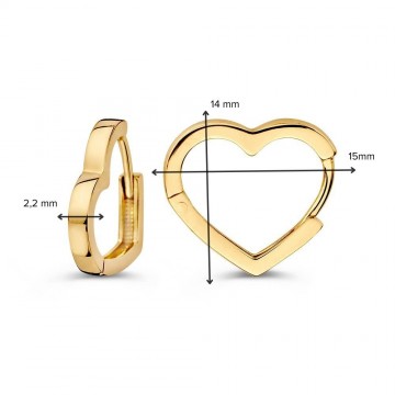 Oorringen geelgoud 31362 nl g