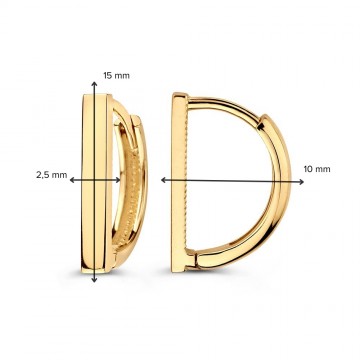 Oorringen geelgoud 31448 nl g