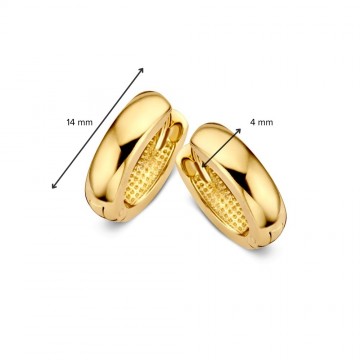 Oorringen geelgoud 31485 nl g