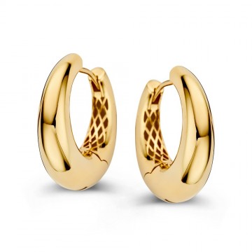 Oorringen geelgoud 31564 nl g