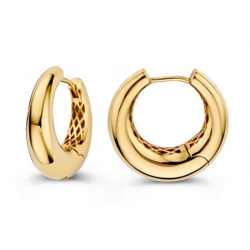 Oorringen geelgoud 31565 nl g