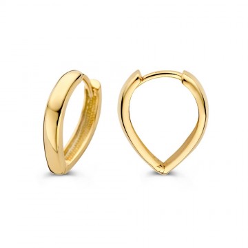 Oorringen geelgoud 32056 nl g