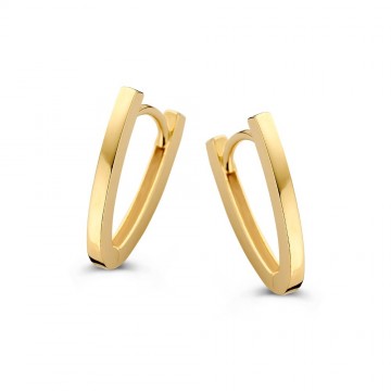 Oorringen geelgoud 32066 nl g