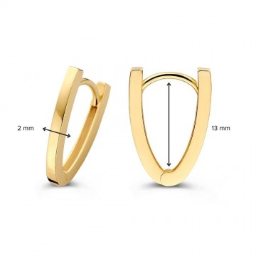 Oorringen geelgoud 32068 nl g