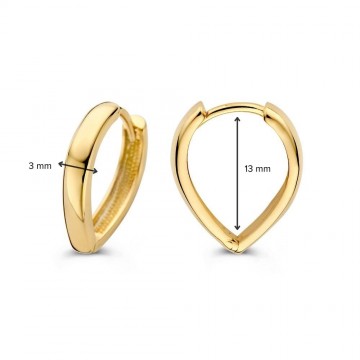 Oorringen geelgoud 32074 nl g