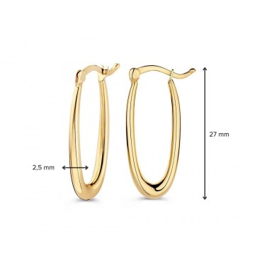 Oorringen geelgoud 32316 nl g