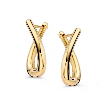 Oorringen geelgoud 32445 nl g