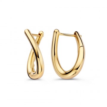 Oorringen geelgoud 32446 nl g