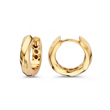 Oorringen geelgoud 32491 nl g