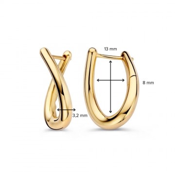 Oorringen geelgoud 32670 nl g