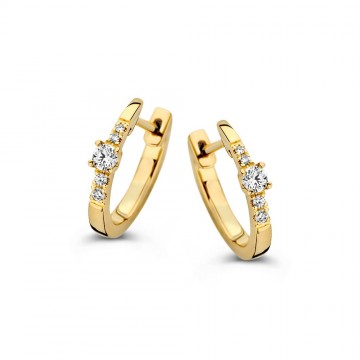 Oorringen geelgoud briljant 0 16 crt 31775 nl g