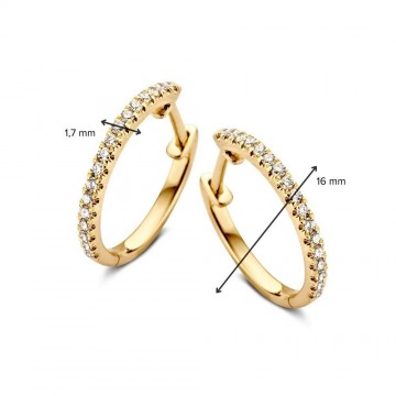 Oorringen geelgoud briljant 0 22 crt 27989 nl g