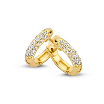 Oorringen geelgoud briljant 0 32 crt 20646 nl g