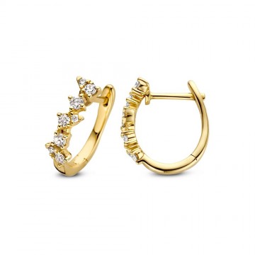 Oorringen geelgoud briljant 0 32 crt 25355 nl g