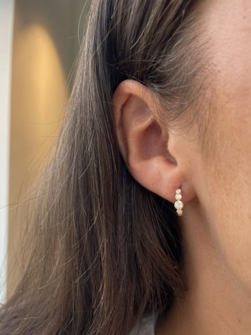 Oorringen geelgoud briljant 0 32 crt 32689 nl g