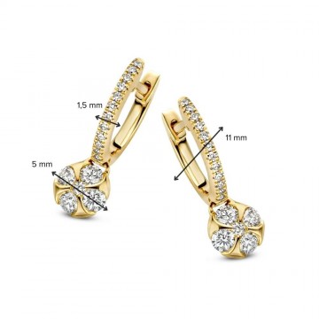 Oorringen geelgoud briljant 0 42 crt 27988 nl g