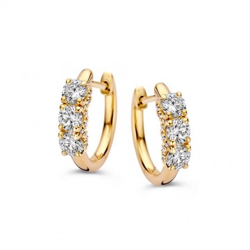 Oorringen geelgoud briljant 1 18 crt 32581 nl g