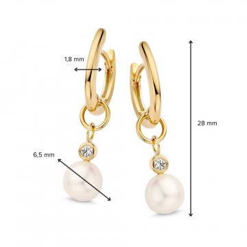 Oorringen geelgoud parel 27141 nl g